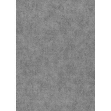 Erismann behang - effen - klei grijs - 53 cm x 10.05 m - 662405 product
