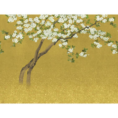 Sanders & Sanders fotobehang - bloesems - okergeel - 371 x 280 cm - 640797 product