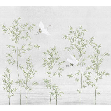 Sanders & Sanders fotobehang - kraanvogels - grijs en olijfgroen - 318 x 280 cm product