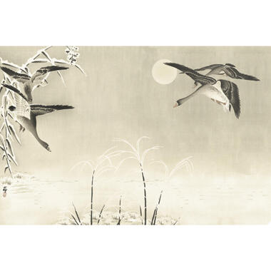 Sanders & Sanders fotobehang - vogels - beige - 424 x 280 cm - 640895 product
