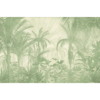 Sanders & Sanders fotobehang - jungle-motief - groen - 424 x 280 cm - 640780 product
