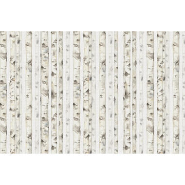 Sanders & Sanders fotobehang - bos - beige - 424 x 280 cm - 640907 product