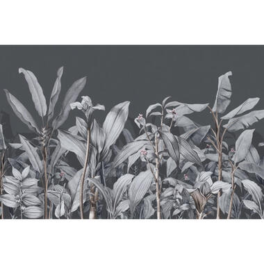 Sanders & Sanders fotobehang - palmbladeren - grijs - 424 x 280 cm - 640920 product