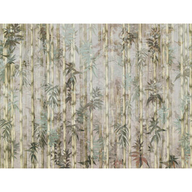 Sanders & Sanders fotobehang - bamboe - vergrijsd groen - 371 x 280 cm - 640791 product