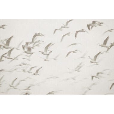 Sanders & Sanders fotobehang - vogels - beige - 424 x 280 cm - 640889 product