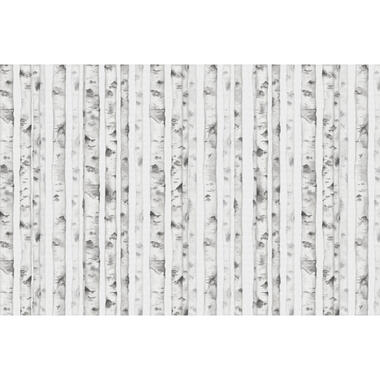 Sanders & Sanders fotobehang - bos - grijs - 424 x 280 cm - 640908 product