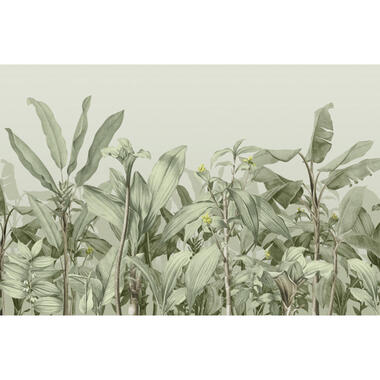 Sanders & Sanders fotobehang - palmbladeren - groen - 424 x 280 cm - 640918 product
