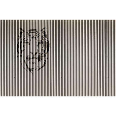 Sanders & Sanders fotobehang - tijgers - beige - 424 x 280 cm - 640954 product