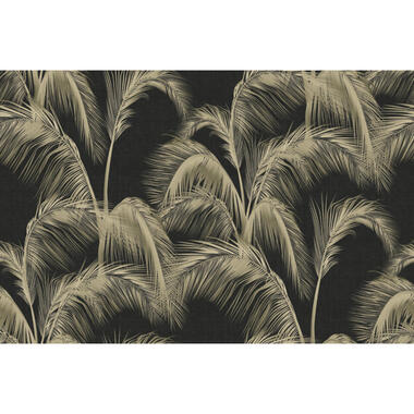 Sanders & Sanders fotobehang - palmbladeren - zwart en beige - 424 x 280 cm product