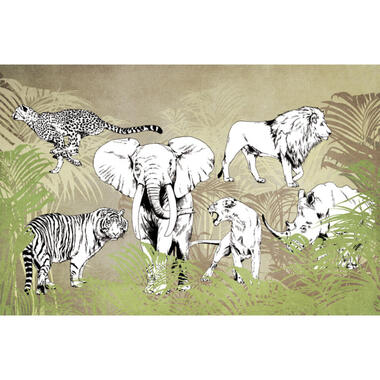 Sanders & Sanders fotobehang - jungle dieren - jungle groen en zwart wit product