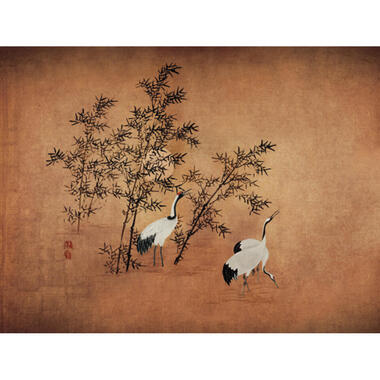 Sanders & Sanders fotobehang - kraanvogels - terracotta bruin - 371 x 280 cm product