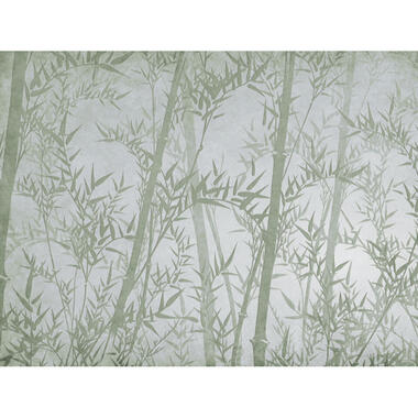 Sanders & Sanders fotobehang - bamboe bladeren - groen - 371 x 280 cm - 640903 product