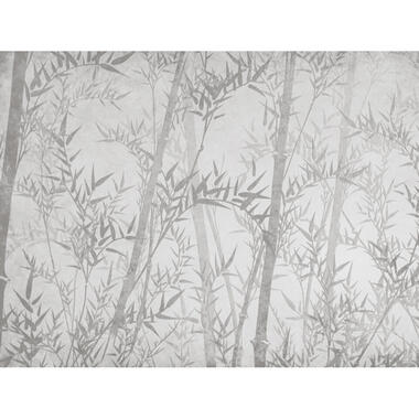 Sanders & Sanders fotobehang - bamboe bladeren - grijs - 371 x 280 cm - 640901 product