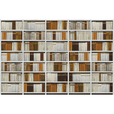 Sanders & Sanders fotobehang - boekenkast - meerkleurig - 424 x 280 cm - 640977 product