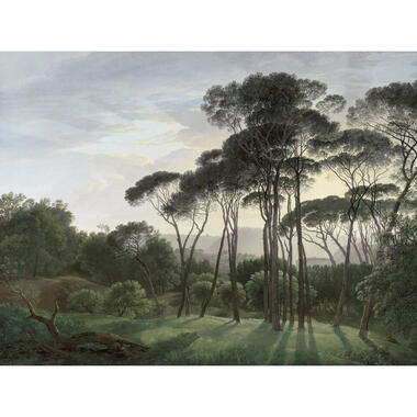 Sanders & Sanders fotobehang - Italiaans landschap - groen - 371 x 280 cm product