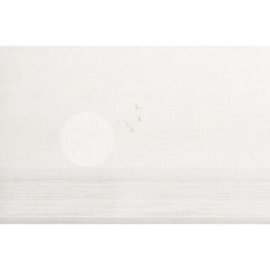 Sanders & Sanders fotobehang - vogels in de natuur - grijs - 424 x 280 cm product