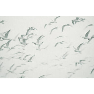 Sanders & Sanders fotobehang - vogels - blauw en groen - 424 x 280 cm - 640890 product