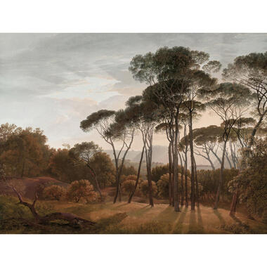 Sanders & Sanders fotobehang - Italiaans landschap - bruin - 371 x 280 cm product