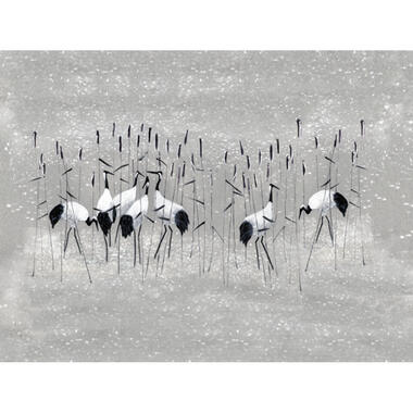 Sanders & Sanders fotobehang kraanvogels grijs - 371 x 280 cm