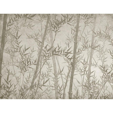Sanders & Sanders fotobehang - bamboe bladeren - donker beige - 371 x 280 cm product