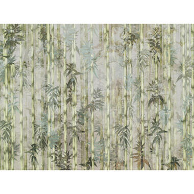 Sanders & Sanders fotobehang - bamboe - groen - 371 x 280 cm - 640792 product
