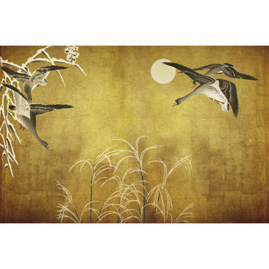 Sanders & Sanders fotobehang - vogels - okergeel - 424 x 280 cm - 640896 product