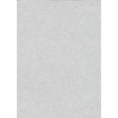 Erismann behang - effen - grijs - 53 cm x 10.05 m - 662434 product