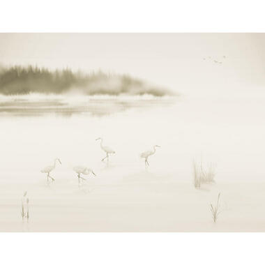 Sanders & Sanders fotobehang - kraanvogels - warm beige - 371 x 280 cm - 640839 product