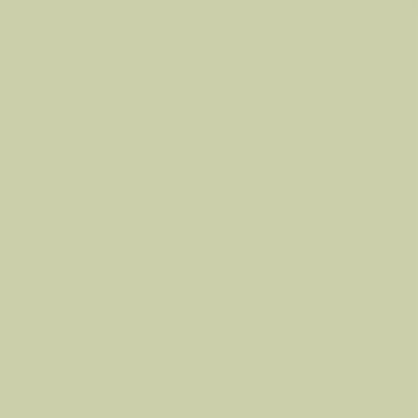 Duro Wallpaper behang - effen - saliegroen - 53 cm x 10.05 m - 662222 product