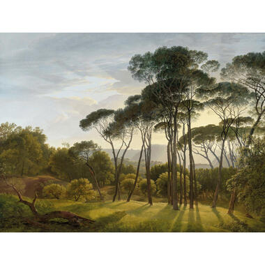 Sanders & Sanders fotobehang - Italiaans landschap - jungle groen product