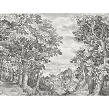 Sanders & Sanders fotobehang - bos - zwart wit - 371 x 280 cm - 640816 product