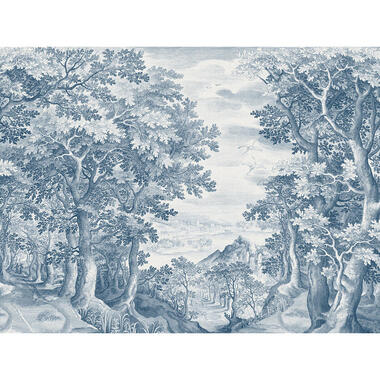 Sanders & Sanders fotobehang - bos - blauw - 371 x 280 cm - 640817 product