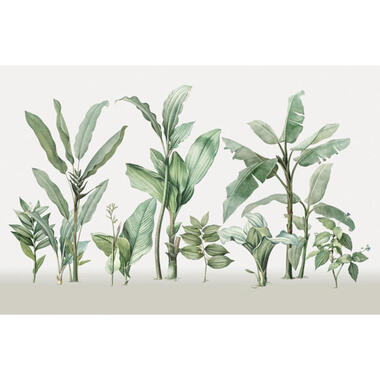 Sanders & Sanders fotobehang - palmbladeren - wit en groen - 424 x 280 cm product
