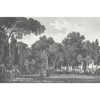 Sanders & Sanders fotobehang bos grijs - 424 x 280 cm