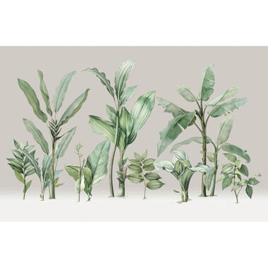 Sanders & Sanders fotobehang - palmbladeren - beige en groen - 424 x 280 cm product