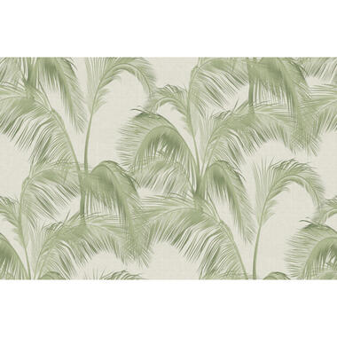 Sanders & Sanders fotobehang - palmbladeren - beige en groen - 424 x 280 cm product