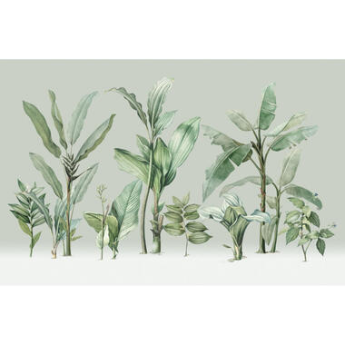 Sanders & Sanders fotobehang - palmbladeren - groen - 424 x 280 cm - 640917 product