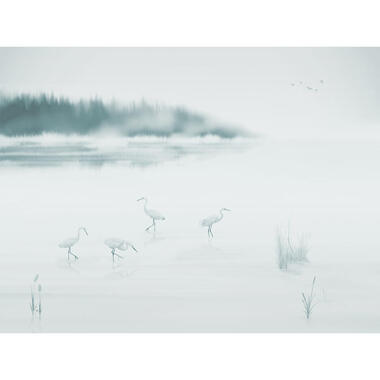 Sanders & Sanders fotobehang - kraanvogels - blauw en grijs - 371 x 280 cm product
