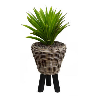Van der Leeden Planten/bloemen mand op pootjes -rotan -D33xH45 cm product