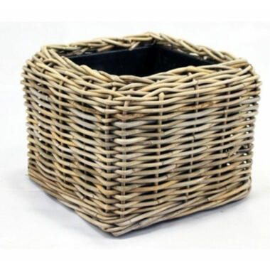 Van der Leeden Planten mand - vierkant - 38 x 30 cm - drypot product