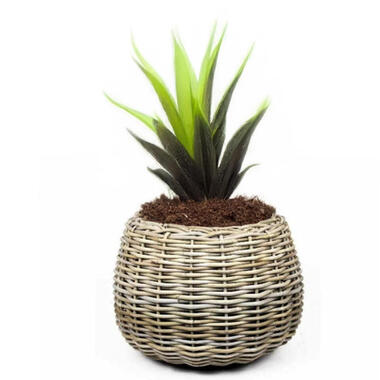 V/d Leeden Planten mand - rond - rotan - riet - 57x44cm - drypot product