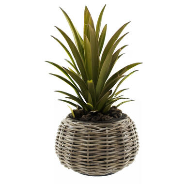Van Der Leeden Planten/bloemen mand - rotan -D30 x H19 cm product