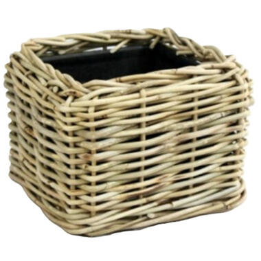Van der Leeden Planten mand - vierkant - rotan - 25 cm - drypot product