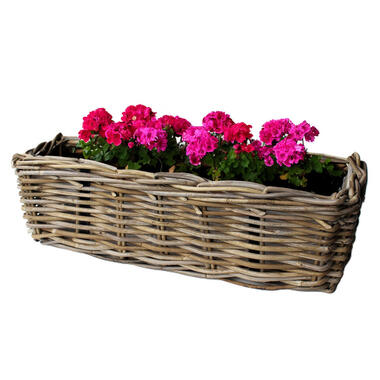 Van der Leeden Balkonmand - rotan gevlochten -60 x 20 x 16 cm product