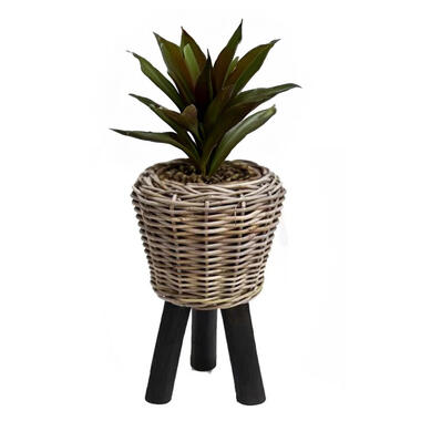 Van der Leeden Planten/bloemen mand op pootjes -rotan -D27xH42 cm product