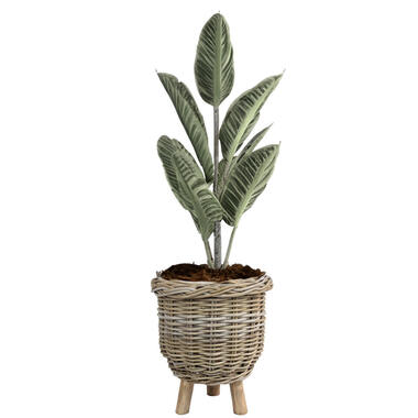 Van der Leeden Planten/bloemen mand op pootjes -rotan -D34xH40 cm product