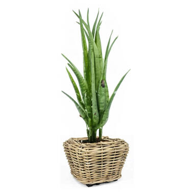 V/d Leeden Planten mand - rechthoekig - rotan - riet - 48x48x37cm product