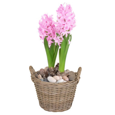 Mega Collections Plantenmand - rotan - naturel - D20 x H16 cm product