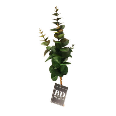 Bellatio Design Kunstbloem/kunsttak Eucalyptus - 38 cm product
