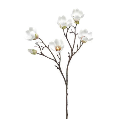 Emerald Kunstbloem Magnolia tak - 65 cm - creme wit product